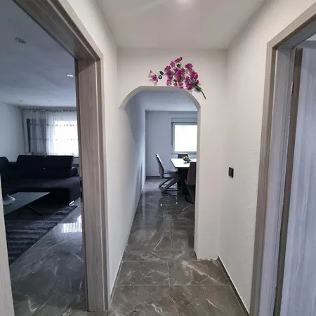 Sasu Friedrichshafen